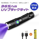 アニサキス発見 UVライト 365nm ブラックライト 紫外線 生活防水 IPX6 USB充電式 鉱物鑑定 釣り 鑑定 ペット尿検出器 お札 ポータブル 猫真菌 LEDライト UV 真贋用 ウッド灯検査 アニサキスライト 内蔵電池 波長365nm レジンの硬化 釣り具蓄光