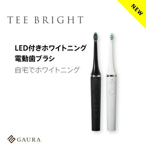 家庭用 LED付きホワイトニング電動歯ブラシ ティーブライト TEE BRIGHT 青色LED 電動歯ブラシ デンタルケア 白い歯 バス磨き 日本製 選べるカラー ガウラ直営店【送料無料】