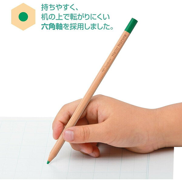 トンボ鉛筆 色鉛筆 12色セット ハローネイチャー レッサーパンダ - メール便対象 gazaihonpo-10391565 絵画材料と文房具のお店 画材本舗 サンプル画像3