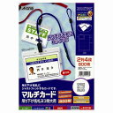 エーワン マルチカード 51216 吊下名札横特大用100枚