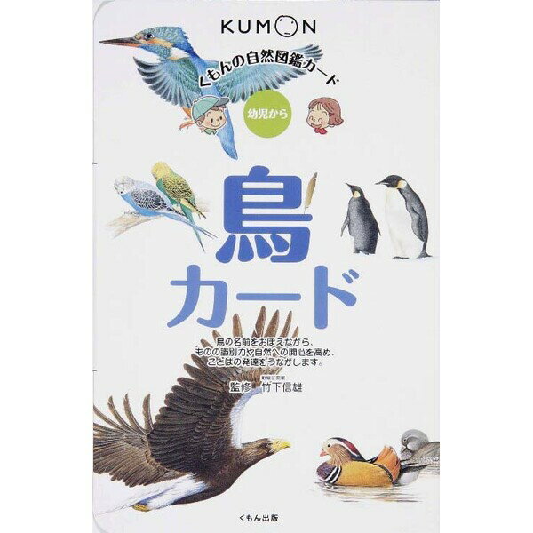 くもん出版 自然図鑑 鳥カードのサムネイル