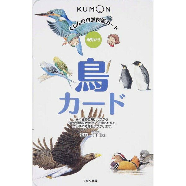 くもん出版 自然図鑑 鳥カード