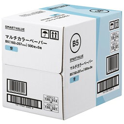 コピー用紙 カラーペーパー B5 空 2500枚 (500枚×5冊) A261J-5 大容量 OA オフィス 日本製 SV - メール便不可