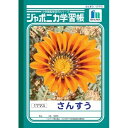 ショウワノート ジャポニカ学習帳 さんすう 17マス JL-2 - メール便対象