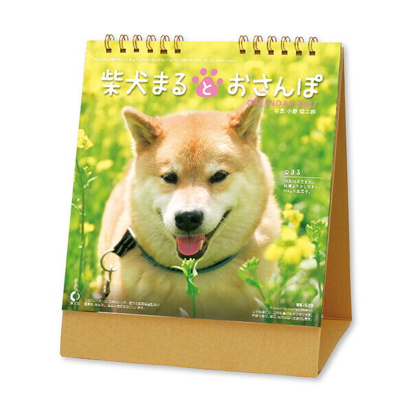 【2027年版】 カレンダー 卓上 1月始まり 日曜始まり 書き込み 柴犬まるとおさんぽ 写真 かわいい 新日本カレンダー