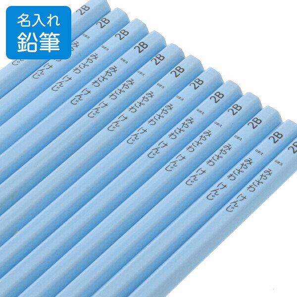 国産 名入れ 無料 鉛筆 六角軸 2B 1ダース(12本入) パステルブルー かきかた 小学生 小学校 卒園 プレゼント お祝い - メール便 送料無料