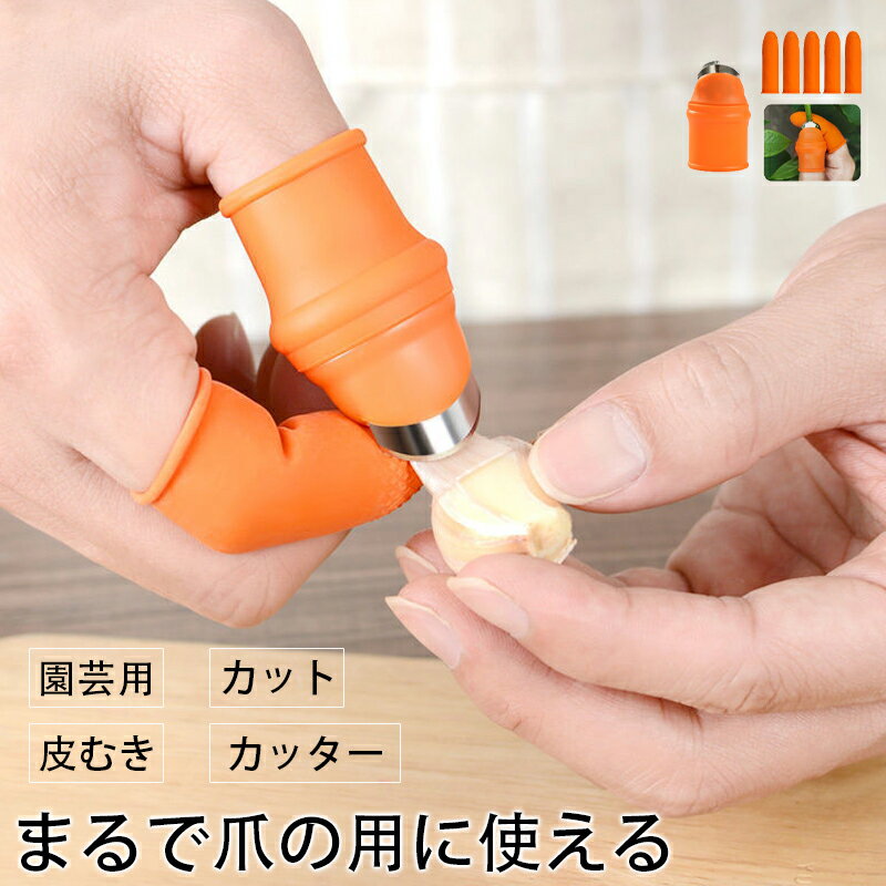 ƻإå إåå ԡ顼 भ   6å ϥʥ ڤ̣ȴ åå ˥˥भ ޷ʥ ...