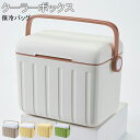 【期間限定!4280円→2880円】クーラーボックス 冷蔵庫 冷凍庫 冷温庫 小型 6L 部活 おしゃれ キャンプ アウトドア スポーツ 保冷バッグ 保冷 キャンプ用品 レジャー 6氷嚢を送る 海水浴 BBQ 釣り 部活 防災 大型 飲み物 車載プラスチック お花見 運動会 軽量 コンパクト