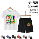 【期間限定!4180円→2980円】スプランキー 子供服 2点セット 半袖Tシャツ ショートパンツ 女の子 男の子 子供 T-shirt 2025 新作 綿 春 夏 トップス 半袖 子供服 キッズ 誕生日用品 家族服ー 感謝祭の日 子供へのギフト スマスギフト ハロウィンクリ 120cm -160cm
