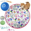 !犬 おもちゃ ボール 犬おもちゃ 猫 おもちゃ 遊び ほりほりセット犬おもちゃ3色入り 自動 電動ボール ほりほり シート 動く光る USB充電 中小型犬 運...
