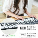 ロールピアノ ロールアップピアノ 49鍵盤 電子ピアノ 持ち運び スピーカー内蔵 ピアノマット ロールアップ 折りたたみ デモ音源 和音 手巻きピアノ 高音質ス...