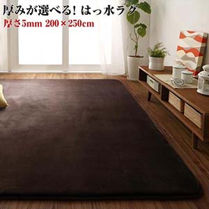 マット ラグ ラグ カーペット ラグ ダイニング ラグ はっ水ラグ Repewell レペウェル 200×250cm 手洗いOK 5mm厚タイプ ホットカーペット 軽量 一年中 オールシーズン コンパクト 毛足が短い こたつ敷き布団 床暖房 子供部屋 防水 クッションラグ 防音