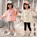 韓国子供服 2点セット カジュアル ナチュラル パーカー ロングパンツ スキニーパンツ ストレッチパンツ プリント フード付き 春秋 長袖 セットアップ スポー...