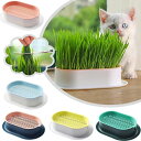 容器 3個セット 猫草栽培鉢皿 鉢台 鉢植え台 猫草プランター 植物シャーレ　プラスチックキャットニップ猫草ボックス 自己散水植物スプラウタートレイ 鉢植え台 観葉植物 鉢植え 植木鉢