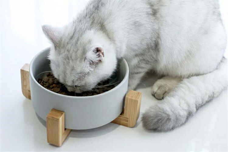 猫 食器台 400ML 850ML 1800ML フードボウル 食器 猫用 犬用 小型犬 食器台 陶器 餌皿 エサ皿 えさ皿 食べやすい 皿 お皿 ペット用 高さがある ペット食器 水飲み ボウル 水入れ 餌入れ ご飯皿 水分補給 ネコ おしゃれ 可愛い キャットフード入れ 雑貨 負担軽減 送料無料 2