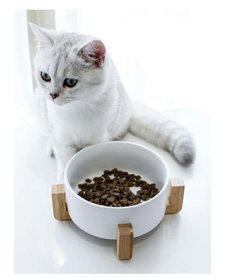 猫 食器台 400ML 850ML 1800ML フードボウル 食器 猫用 犬用 小型犬 食器台 陶器 餌皿 エサ皿 えさ皿 食べやすい 皿 お皿 ペット用 高さがある ペット食器 水飲み ボウル 水入れ 餌入れ ご飯皿 水分補給 ネコ おしゃれ 可愛い キャットフード入れ 雑貨 負担軽減 送料無料 3