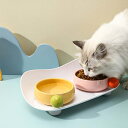 猫 犬 フードボウル 2点セット 傾斜 陶器 水入れ 斜め 食器 食べやすい 高さ 水飲み セラミック ペット食器 おしゃれ ペット用 餌入れ エサ入れ えさ ...
