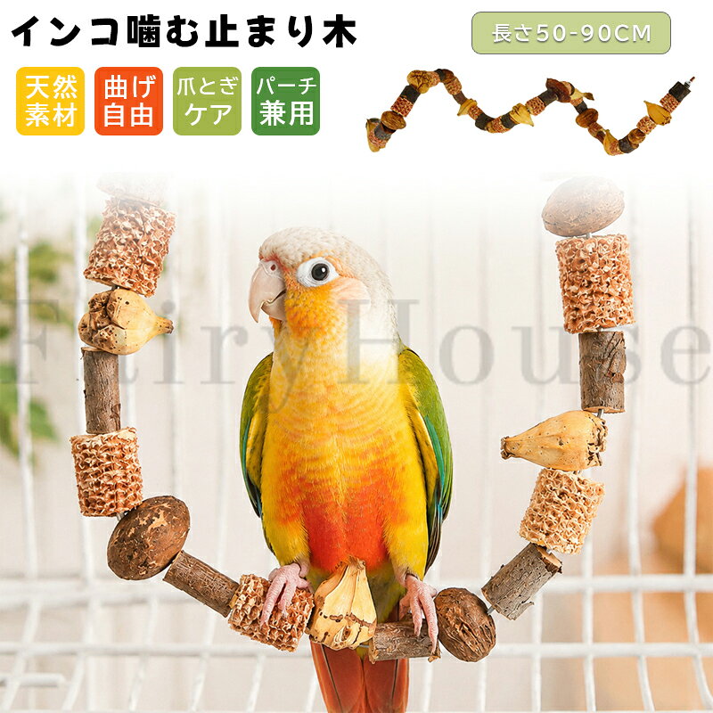 楽天市場】カクタスパーチ（鳥用品｜ペット・ペットグッズ）の通販