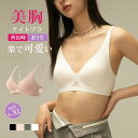 ナイトブラ 秋新作 送料無料 脇高ブラ 育乳 ブラジャー 補正下着 自胸 育乳ブラ 谷間 脇肉 おやすみブラ バストアップ ノンワイヤー 単品ブラジャー 寝ると...