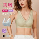 ナイトブラ 秋新作 送料無料 脇高ブラ 育乳 ブラジャー 補正下着 自胸 育乳ブラ 谷間 脇肉 おやすみブラ バストアップ ノンワイヤー 単品ブラジャー 寝ると...