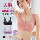 ナイトブラ 秋新作 送料無料 脇高ブラ 育乳 ブラジャー 補正下着 自胸 育乳ブラ 谷間 脇肉 おやすみブラ バストアップ ノンワイヤー 単品ブラジャー 寝ると...