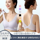 ブラ ノンワイヤー ホックなし 大きいサイズ 盛れる シースルー 冷感 ブラトップ メッシュ 蒸れな
