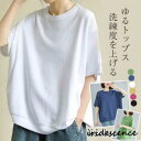 カットソー トップス 夏 夏服 半袖 可愛い きれいめ ポケット付き カジュアル シンプル インナー 白 黒