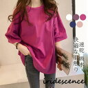 tシャツ カットソー レディース トップス 半袖 綿 ゆったり 可愛い 薄手 吸水 速乾 カジュアル 無地 シンプル