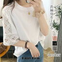 Tシャツ 半袖 レディース カットソー ゆったり レース 透かし 薄手 カジュアル おしゃれ トップス 涼しい 無地 着まわし 通勤 通学 夏
