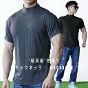 ゴルフ モックネックシャツ メンズ 半袖 Tシャツ ゴルフシャツ ゴルフウエア スポーツウエア インナーウエア カットソー ストレッチ 吸水速乾 薄手 おしゃれ