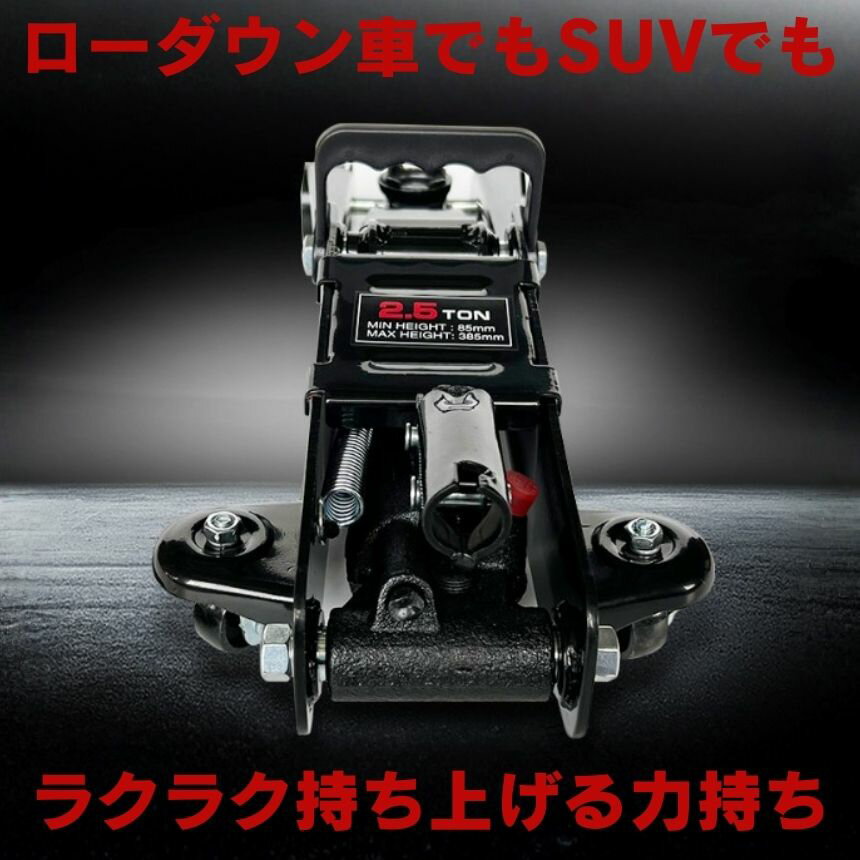 ���졼�� ����å� ��������å� ���������󥸥�å� ���졼������å� ����å����å� ������ �� ���� ���ƥʥ� 2.5t �ե�������å� ���������� ���� �ե��� ���å� �� ���� ���ѥ���å� ������� �ۥ����� ����å�������� �㾲����å�