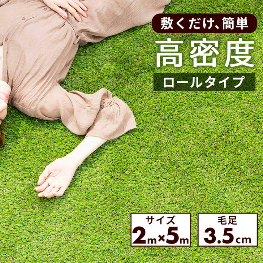 ͹  2m5m Ǿ:35mm ޥå ͹ ǥ Х륳ˡ  ƥ饹  ꥢ  Υ١ ...