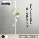突っ張り棒 コンパクト つっぱり 丸型 棚 玄関 収納 ラック収納 トレイ ポールラック 天井 突っ張り 突っ張り棒ラック ラック 省スペース 小物置き おしゃれ 傘立て 突っ張りポール 玄関収納 賃貸 6点セット ブラウン ホワイト【送料無料】GB-INTE-1232