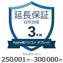 Applep\RE^ubgȐۏ؁y3Nɉz250,001~`300,000~