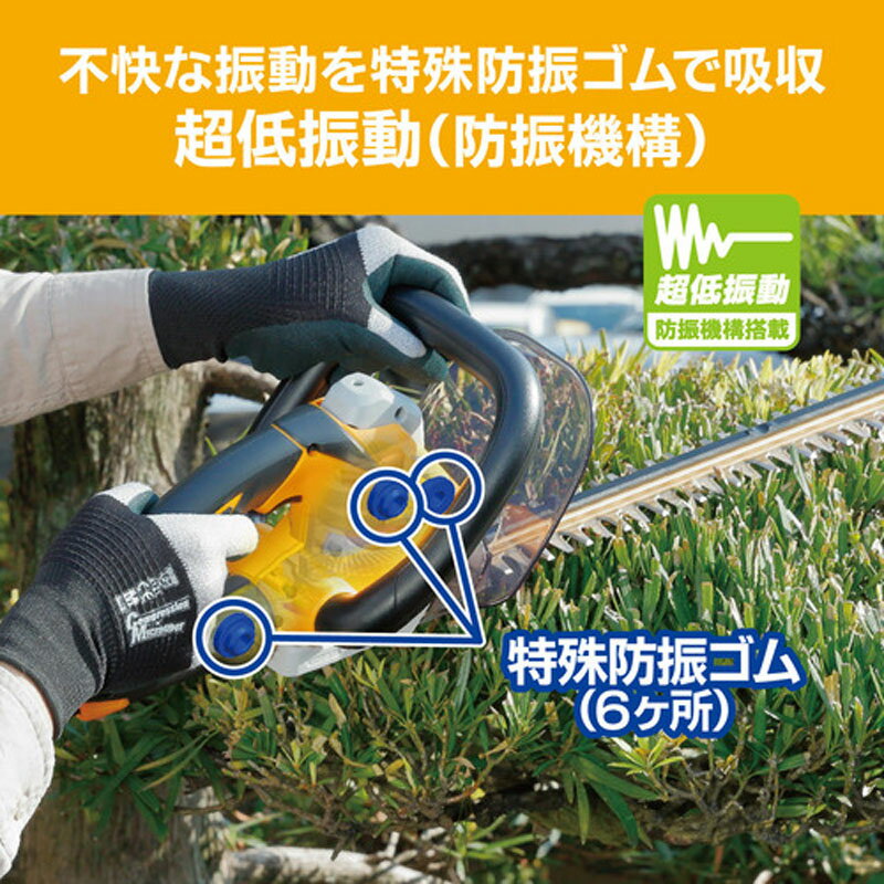 ��2/10�������2000��OFF�����ݥ�ȯ�ԡ�����ȥ꡼��P4�ܡ����������ʥݥ����3�ܡ��� ������ ��硼�� �إå��ȥ�ޡ� HT-4243