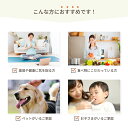 gbft-ltd:10032637のサンプル画像3