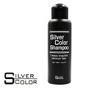 シルバーカラー シャンプー N 100ml 4532927210522