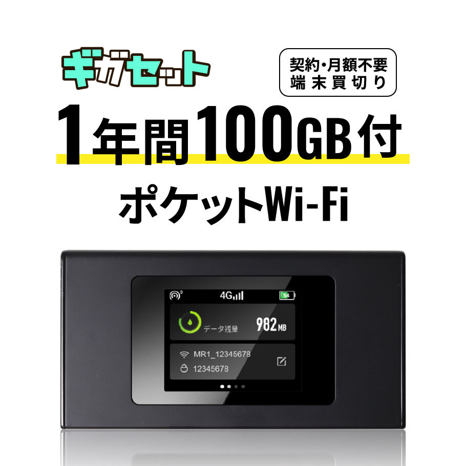 1年間100GB付 ポケット(モバイル)WiFi 