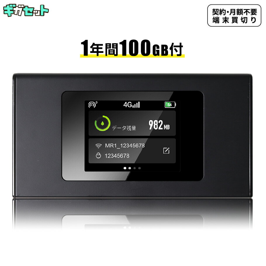 1年間100GB付 ポケット(モバイル)WiFi 