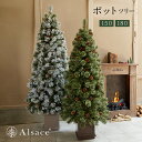 【公式 Alsace(R) 正規品】クリスマスツリー 2025ver. アルザスツリー ポットツリー Coffret(コフレ) & Noblesse(ノブレス) 150cm 180cm 品質 純正 樅 高級 スノーツリー ホワイトツリードイツトウヒツリー おしゃれ 北欧 スリム 雪 ツリー ornament Xmas tree