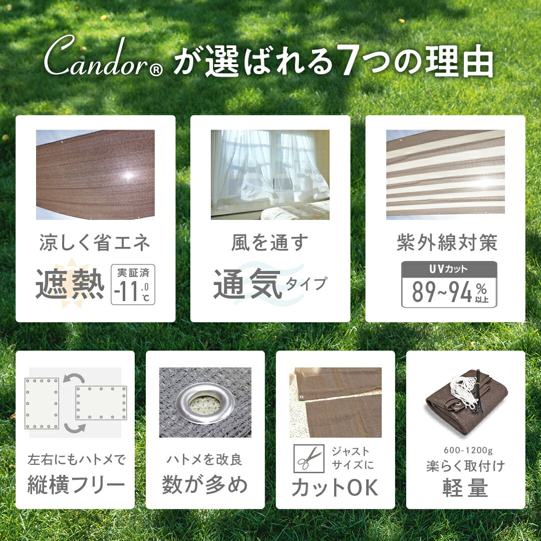 【限定価格〜9/12迄】Candor(R)公式 日よけ シェード 【通気 200×300cm】紫外線 94％カット UV対策 日よけシェード おしゃれ スクリーン バルコニー オーニング 目隠し サンシェード 窓 ベランダ 3m 大きいサイズ 大型 日除け シェード 屋外 樅