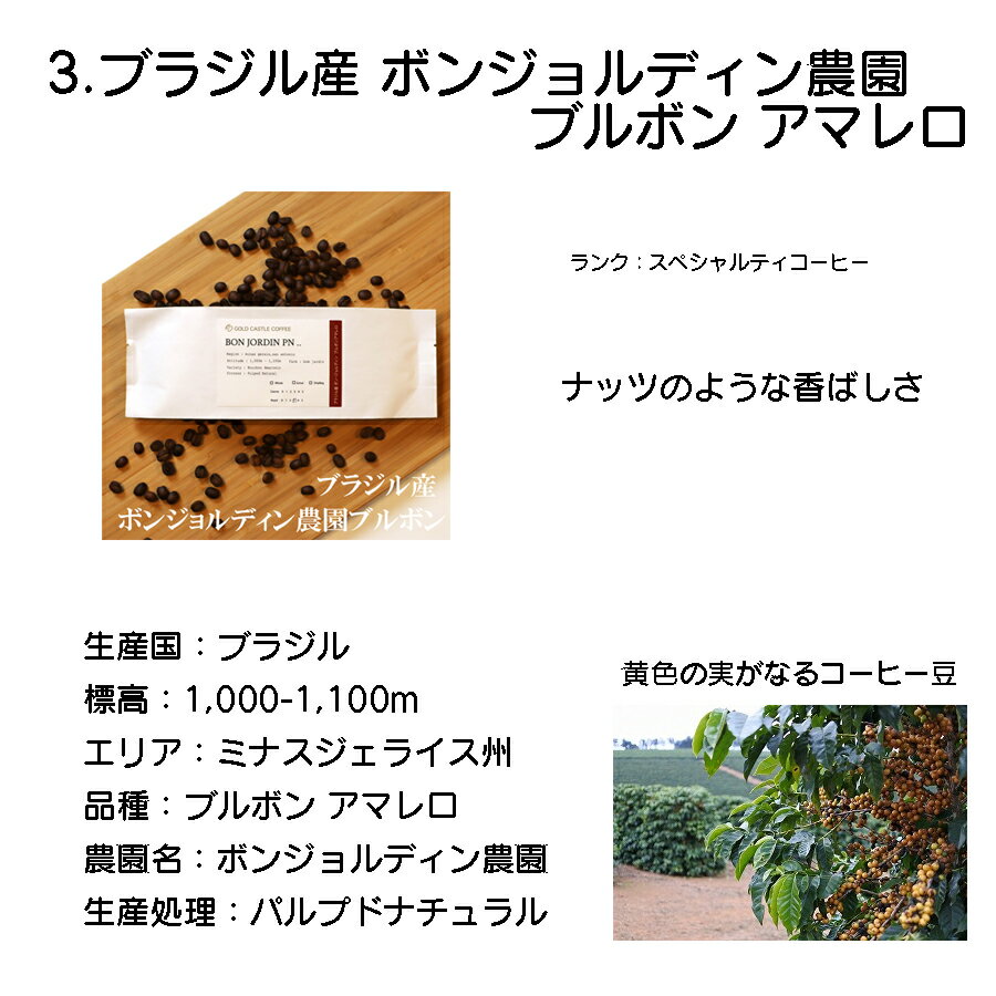 初売り【200gtimes;3種】コーヒー豆【エチオピア産ゲイシャamp;コロンビア産サンアグスティンamp;グアテマラ産エルインヘルト農園】スペシャルティコーヒー【豆・粉選べます】