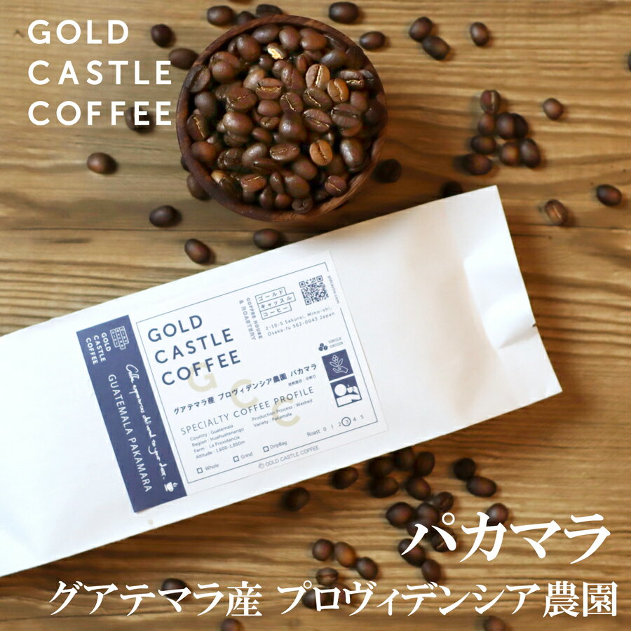  約20杯分 送料無料コーヒー豆 トップスペシャルティコーヒー coffee 珈琲