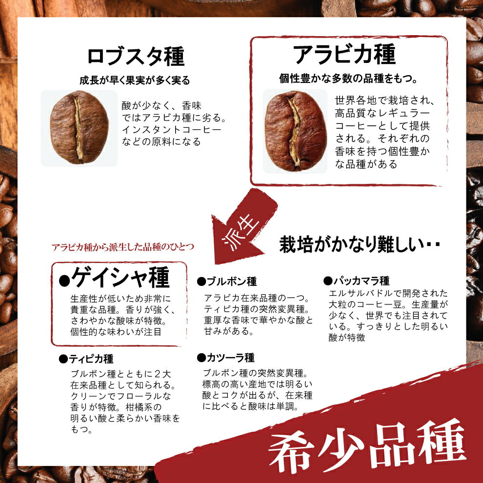 エチオピア産ゲイシャ200gG1【コーヒー豆】スペシャルティコーヒー【豆粉選択可】