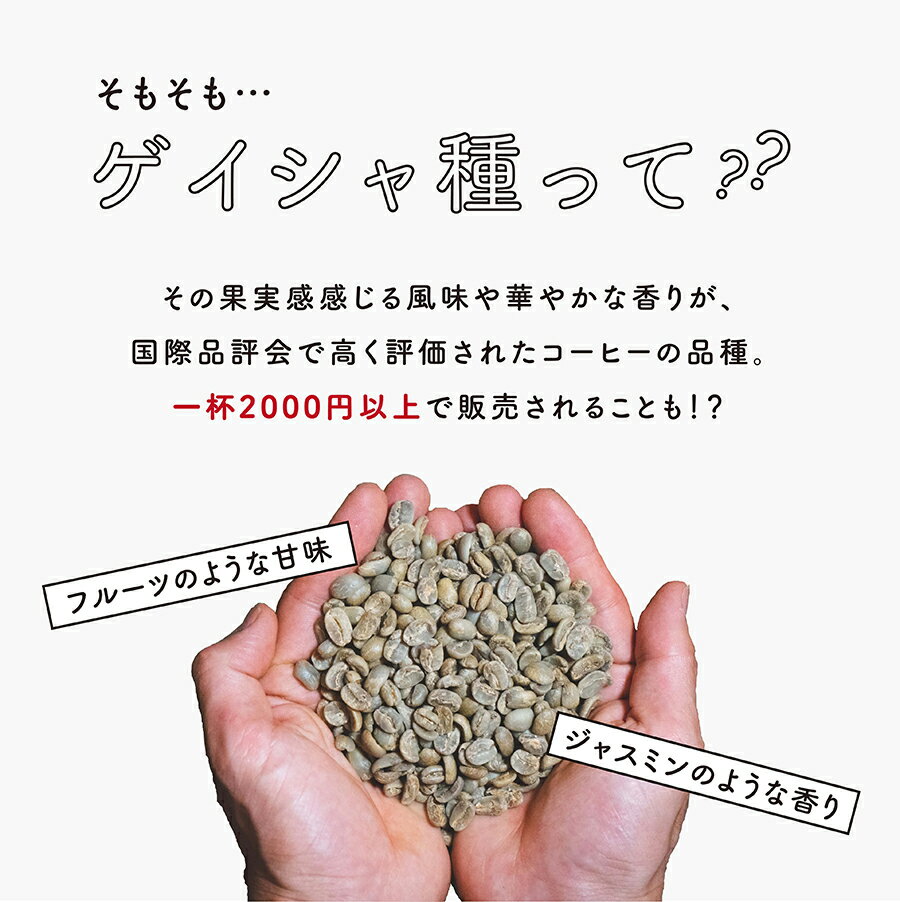 【80gx3種お試し】約24杯分人気のゲイシャもお試し価格!送料無料【豆・粉選べます】コーヒー豆スペシャルティコーヒーcoffee珈琲自家焙煎ギフト