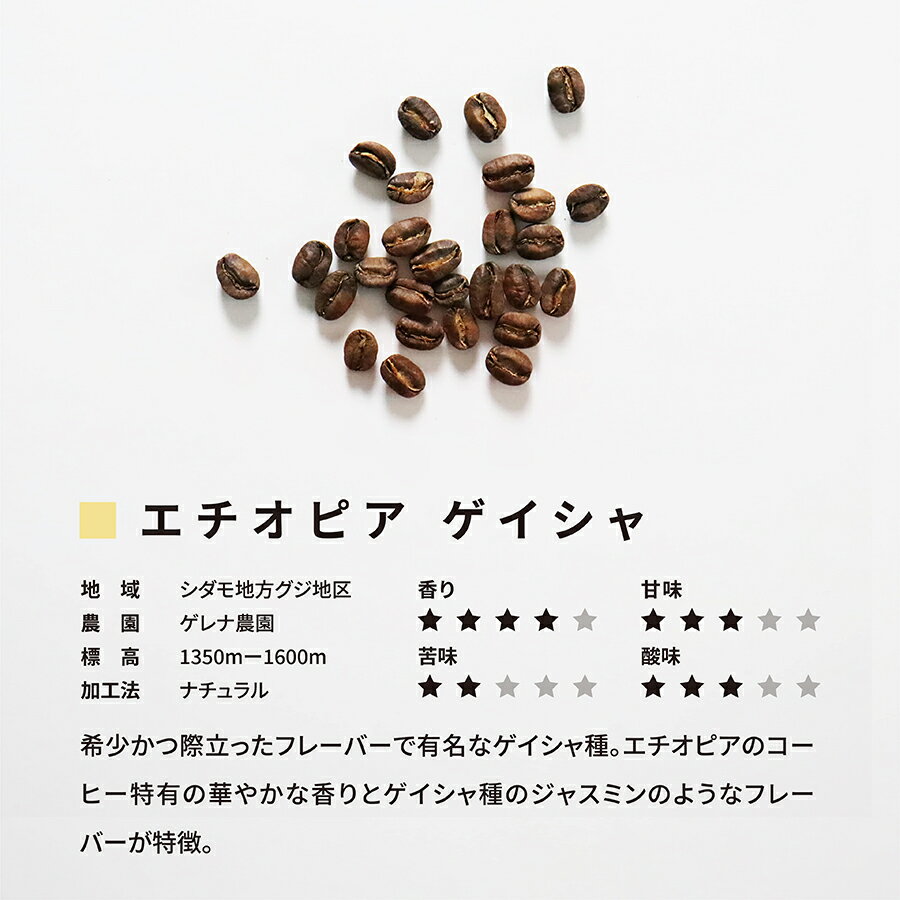 【80gx3種お試し】約24杯分人気のゲイシャもお試し価格!送料無料【豆・粉選べます】コーヒー豆スペシャルティコーヒーcoffee珈琲自家焙煎ギフト