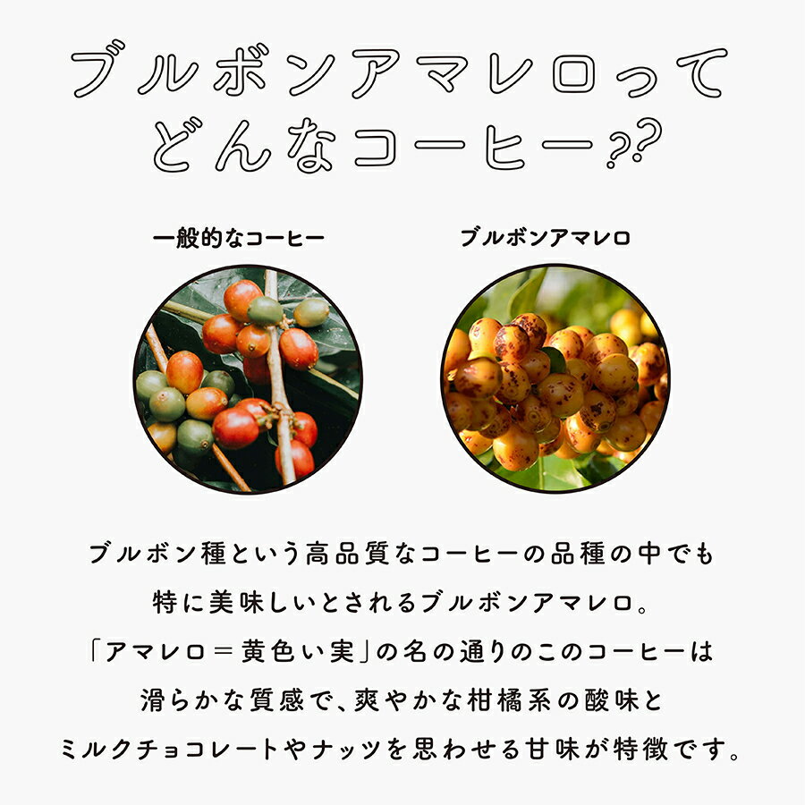 【80gx3種お試し】約24杯分人気のゲイシャもお試し価格!送料無料【豆・粉選べます】コーヒー豆スペシャルティコーヒーcoffee珈琲自家焙煎ギフト
