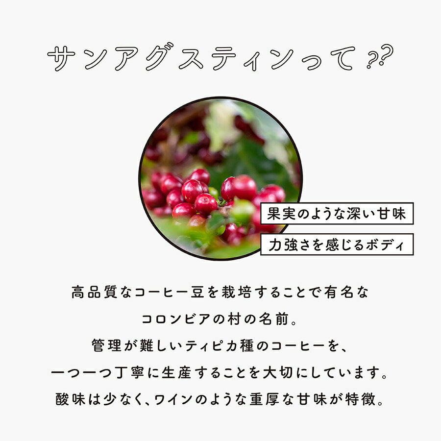 【80gx3種お試し】約24杯分人気のゲイシャもお試し価格!送料無料【豆・粉選べます】コーヒー豆スペシャルティコーヒーcoffee珈琲自家焙煎ギフト