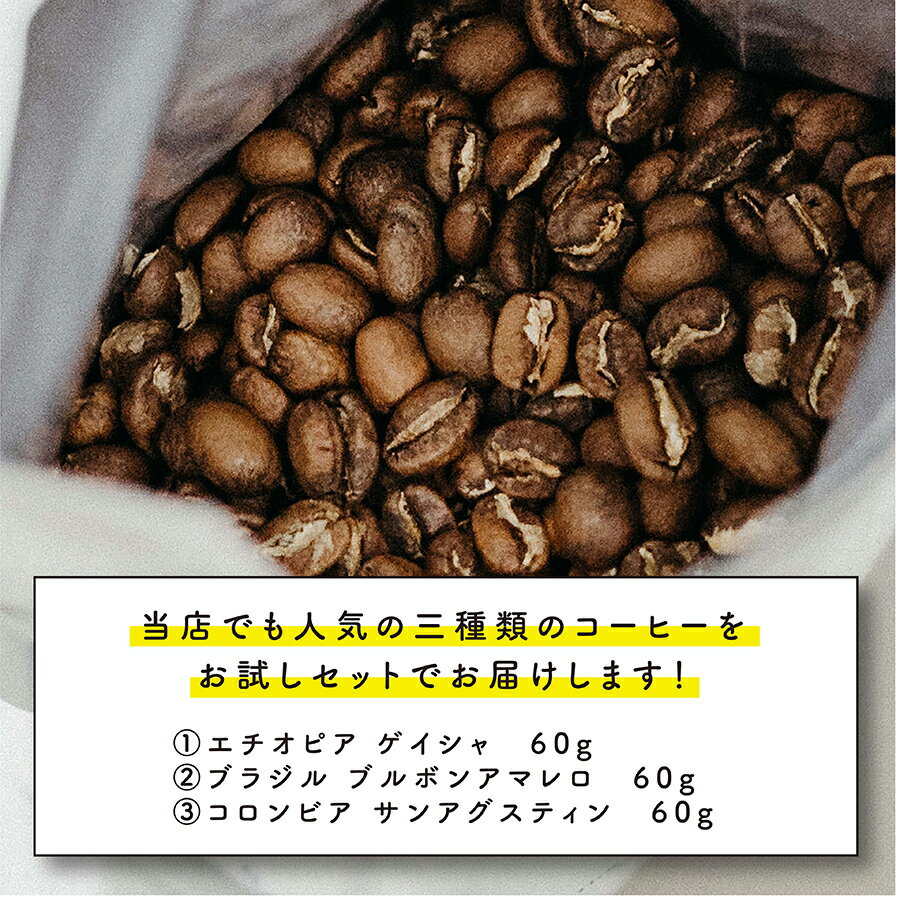 【80gx3種お試し】約24杯分人気のゲイシャもお試し価格!送料無料【豆・粉選べます】コーヒー豆スペシャルティコーヒーcoffee珈琲自家焙煎ギフト