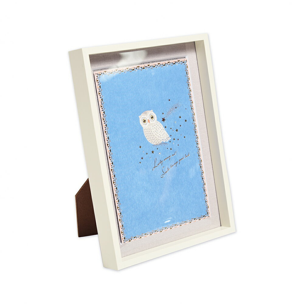 ե졼ɥ ե 18513423mm[620-50]| G.C.PRESSʥץ쥹| ʸ˼ ե졼 ȥե졼 դ ...